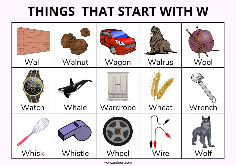 Things that Start with W for Preschool