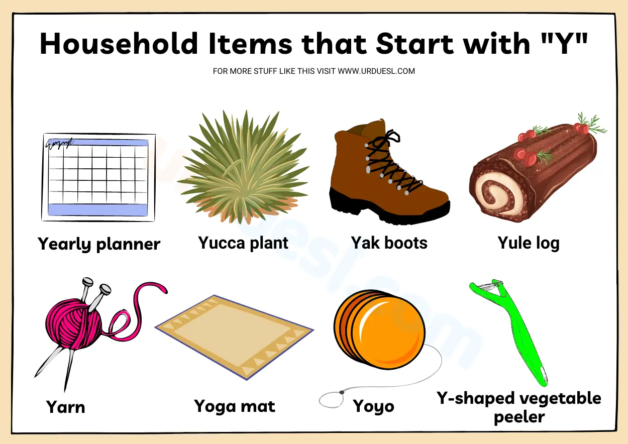 Household Items that Start with Y Things that Start with Y