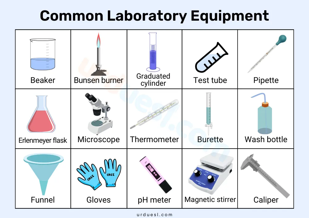 Read more about the article Laboratory Equipment List with Pictures, Uses, and Pdf
