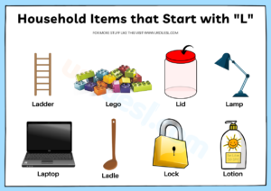 Read more about the article Household Items that Start with L – Easy Things with Letter L